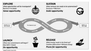 The Adaptive Cycle has four stages: Sustain, Release, Explore, and Launch.