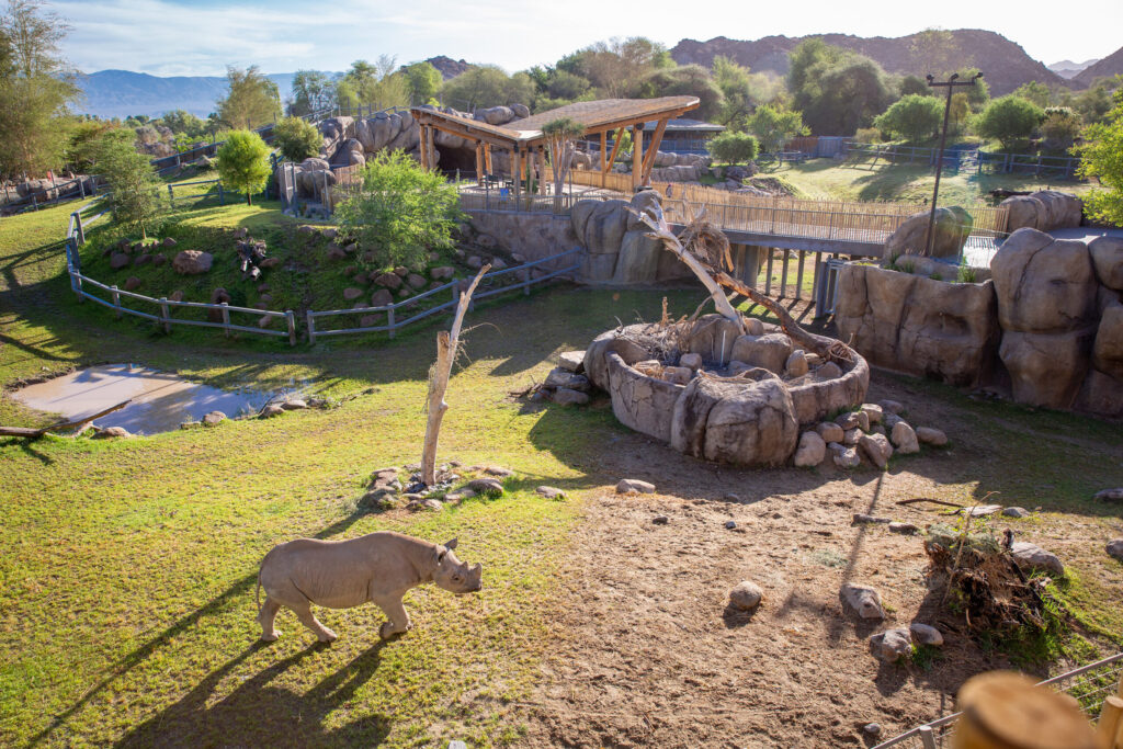 AZA Mid-Year was hosted by the Living Desert Zoo